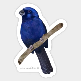 Ultramarine Grosbeak Bird Sticker